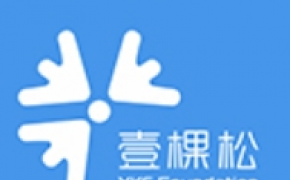 上海壹棵松公益基金会