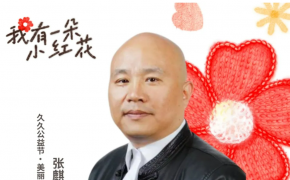 精灵书屋——在文字中寻觅心灵栖息地